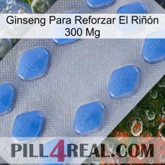 Ginseng Para Reforzar El Riñón 300 Mg 21